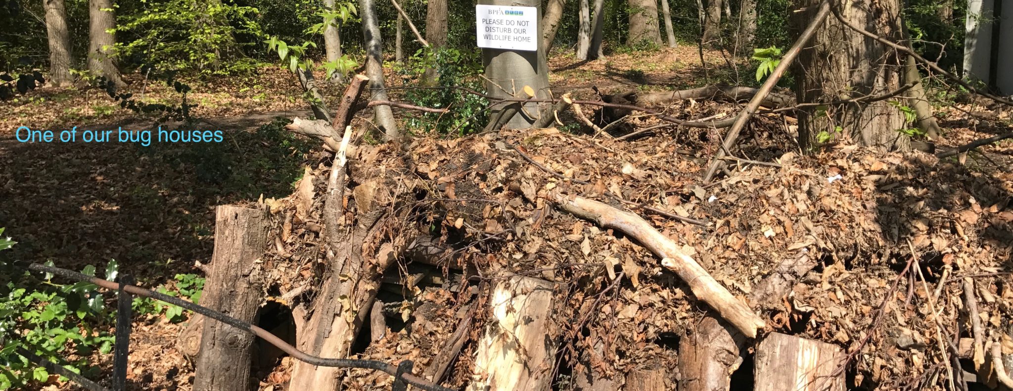 Bagshot playing fields bug house